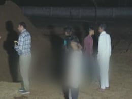 Over 60 Cattle Die At Cow Shelter In Uttar Pradesh, Chief Minister Orders Probe Over 60 Cattle Die At Cow Shelter In Uttar Pradesh, Chief Minister Orders Probe