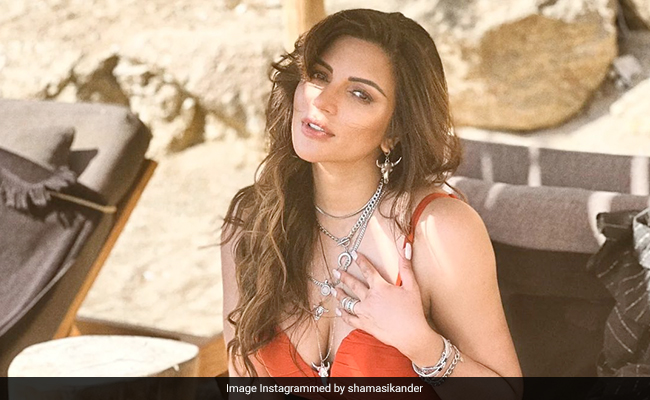 "Tans Will Fade" But The Memories Of Shama Sikander's Chic Rust Swimsuit Will Last Forever
