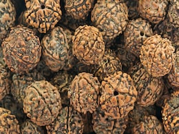 Rudraksha Benefits: हर रुद्राक्ष का होता है खास असर, यहां जानें कौन सा रुद्राक्ष पहनना आपके लिए सबसे अच्छा Rudraksha Benefits: हर रुद्राक्ष का होता है खास असर, यहां जानें कौन सा रुद्राक्ष पहनना आपके लिए सबसे अच्छा