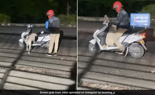 Viral Video: Dog Accompanies Pizza Delivery Boy, Internet Surprised