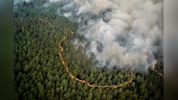 Drought In England, Fires Rage In France As Heatwave Persists