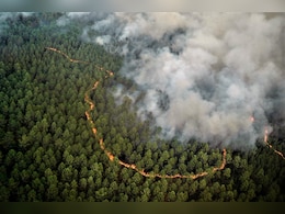 Drought In England, Fires Rage In France As Heatwave Persists Drought In England, Fires Rage In France As Heatwave Persists