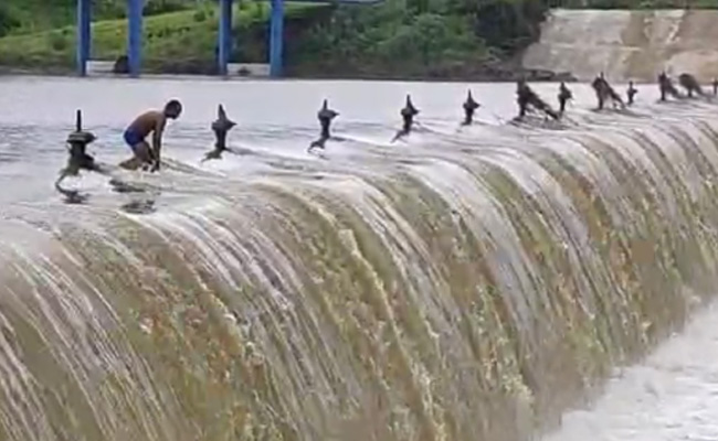 मध्य प्रदेश: उमरिया में छोटी महानदी में स्टंटबाजी कर रहा पुलिस का जवान बहा