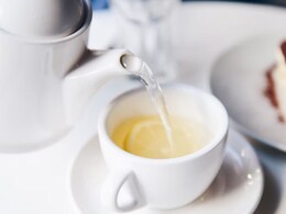 The History Behind White Tea, And Why It Is A Great Health Companion The History Behind White Tea, And Why It Is A Great Health Companion