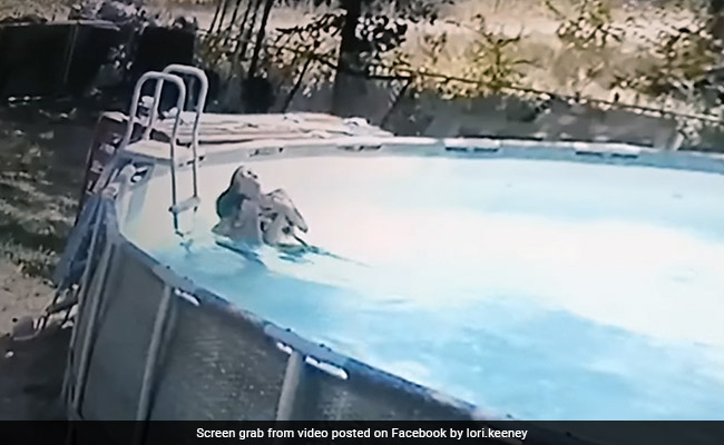 Video: 10-Year-Old Boy Saves Mother Having Seizure In Pool