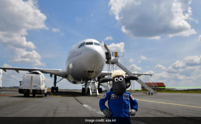 "Shaun The Sheep" To Be Onboard NASA's Artemis Mission To Moon: Report
