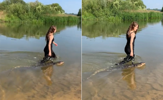 महिला ने इस खूंखार जानवर को बनाया पालतू, गले में बांधा पट्टा डाल करवाई पानी की सैर