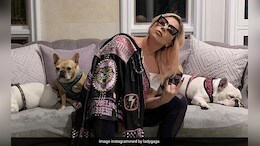 Lady Gaga Dog-Napping Case: Second Man Jailed For 6 Years over Theft