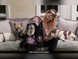 Lady Gaga Dog-Napping Case: Second Man Jailed For 6 Years over Theft Lady Gaga Dog-Napping Case: Second Man Jailed For 6 Years over Theft