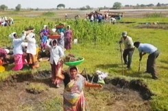 Telangana's Mission Kakatiya: Flagship Scheme To Restore Lakes Telangana's Mission Kakatiya: Flagship Scheme To Restore Lakes