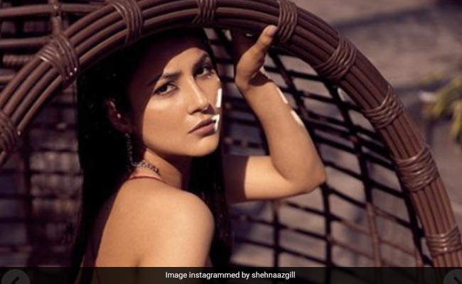 Ring The Fire Alarm On Shehnaaz Gill's Viral Pics