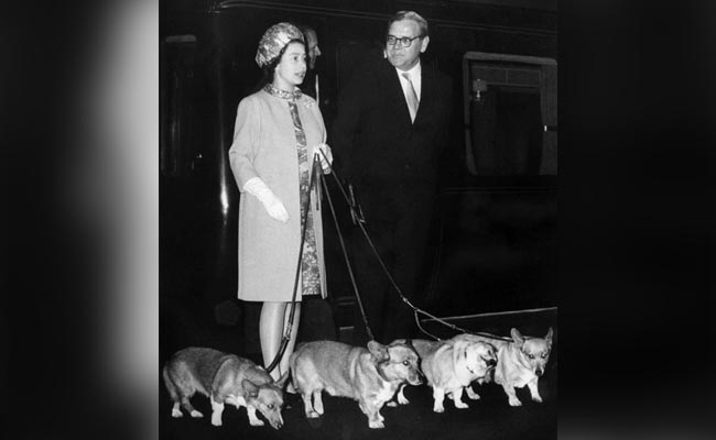 The Queen And Her Love For Corgi Dogs
