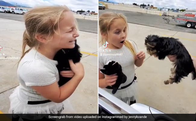Video: Little Girl's Reaction On Getting A Puppy As Gift From Parents Is So Wholesome