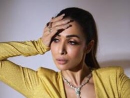 Malaika Arora's Homemade Desi Chinese Food Is Giving Us Cravings
