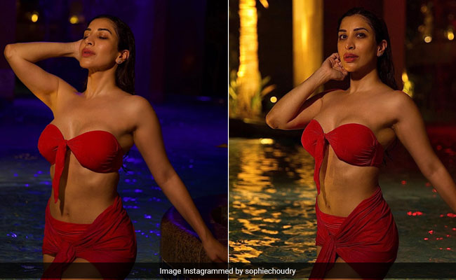 Sophie Choudry Can Light A Pool On Fire In A Red Swim Set, That's It