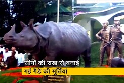 काजीरंगा में जले हुए सींगों से बनाई गई राइनो की तीन मूर्तियां काजीरंगा में जले हुए सींगों से बनाई गई राइनो की तीन मूर्तियां