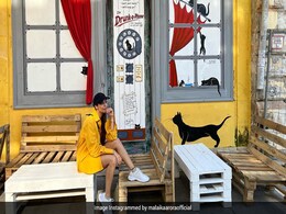 Malaika Arora, Holidaying In Georgia, Shares A New Pic Malaika Arora, Holidaying In Georgia, Shares A New Pic