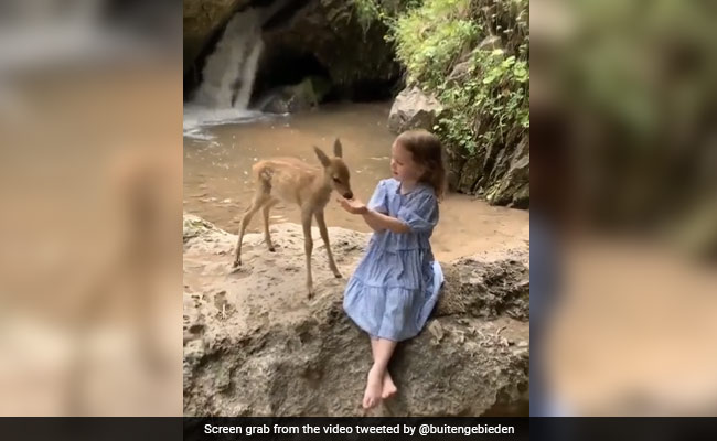 Girl Plays With Fawn Near Waterfall, Internet Likes "Fairy Tale" Moment