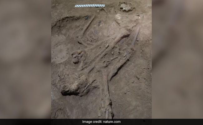 Scientists Discover 31,000-Year-Old Skeleton With Amputated Leg: Research