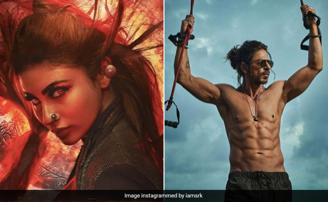 Mouni Roy Confirms Shah Rukh Khan's Cameo In <i>Brahmastra</i>: "He Plays A Guest Appearance"