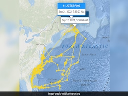 Great White Shark Fitted With GPS Makes A Self-Portrait In Atlantic Ocean Great White Shark Fitted With GPS Makes A Self-Portrait In Atlantic Ocean