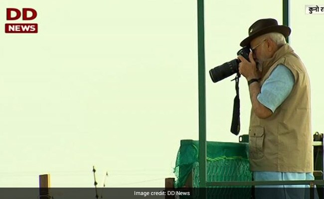 25सीपीजे4