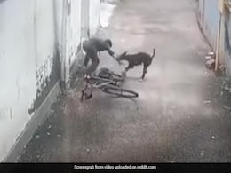 मौका पाते ही कुत्ते ने बेरहमी से छोटे बच्चे को बनाया अपना निशाना, वीडियो विचलित कर सकता है मौका पाते ही कुत्ते ने बेरहमी से छोटे बच्चे को बनाया अपना निशाना, वीडियो विचलित कर सकता है