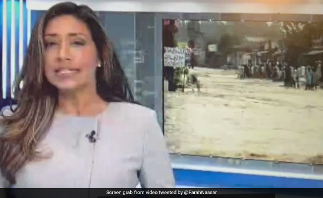 Viral Video: Journalist Swallows Fly On Air, Internet In Splits