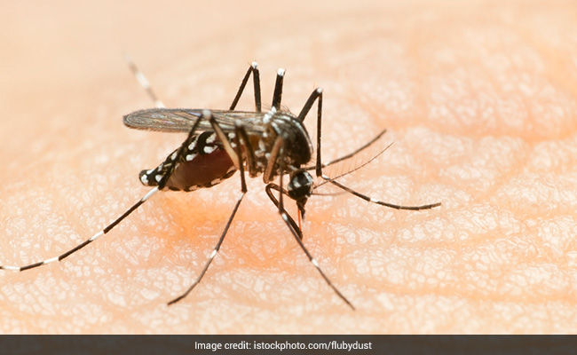Diet for dengue recovery: Soups are a perfect fluid-rich and nutrient-dense snack or mid-meal food