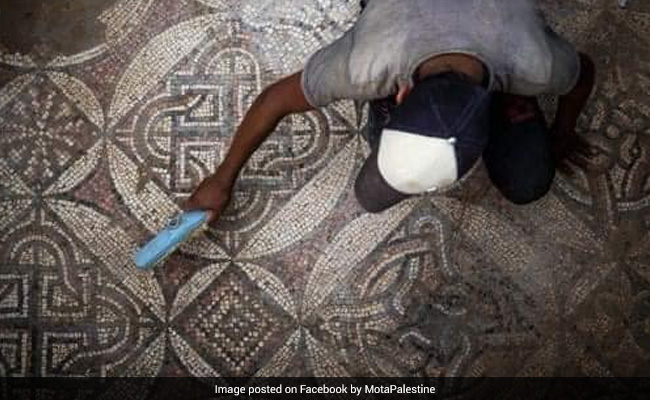 Palestinian Farmer Unearths Rare Byzantine-Era Mosaic In Gaza. See Pics