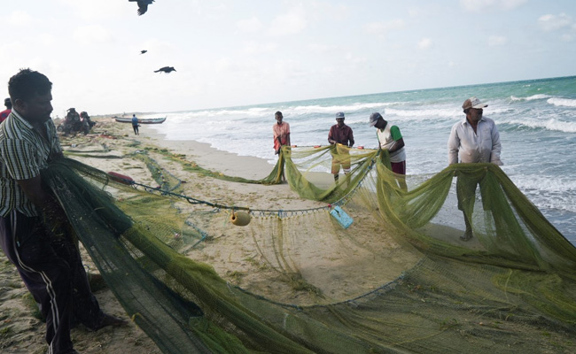"No Kerosene, No Food": Sri Lanka's Fishermen Struggle To Survive