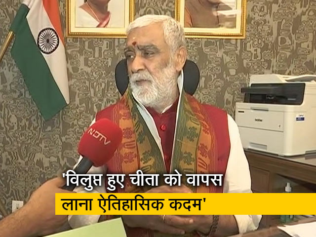 विलुप्त हो चुके चीता को फिर से देश में बसाने की हो रही है पहल, देखिए अश्विनी कुमार चौबे से NDTV की बातचीत