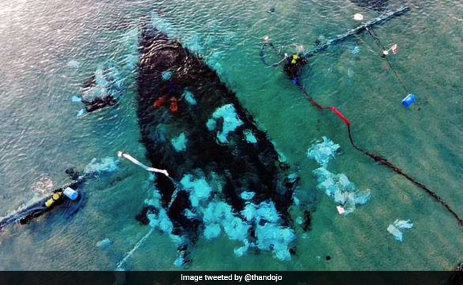 Archaeologists Discover 1,200-Year-Old Shipwreck That Reveals A Lost Age: Report
