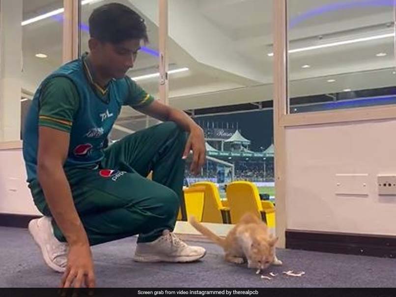 Watch: Pakistan Pacer Mohammad Hasnain Ensures "Furry Friend" Is Fed Well In Dressing Room