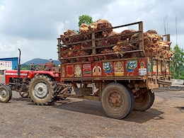India's Palm Oil Imports Hit 14-Year Low India's Palm Oil Imports Hit 14-Year Low