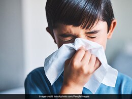 Is Your Child's Immunity Under Attack? Nutritionist Explains How Modern Diets Affect Their Gut Health