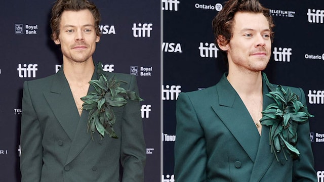 Should You Try The Benefits Of Harry Styles's Pescatarian Diet?