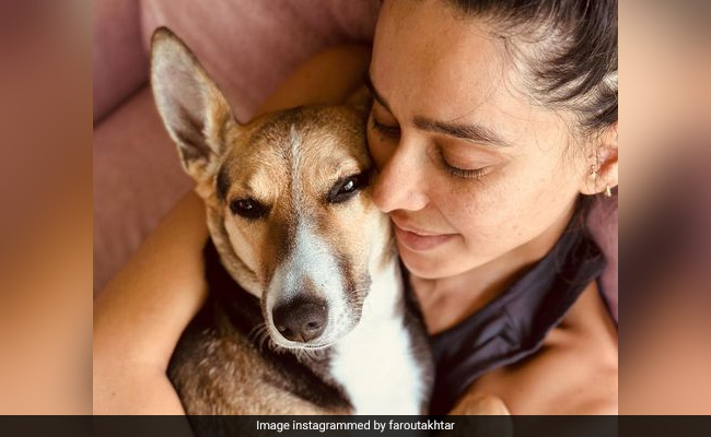 Farhan Akhtar Shares An Adorable Pic Of Wife Shibani Dandekar With Pet