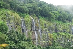 Amboli Ghat - A Walk In The Clouds Amboli Ghat - A Walk In The Clouds