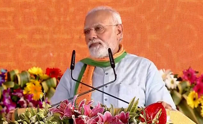 No Serious Efforts Made For Decades To Reintroduce Cheetahs In India: PM Modi
