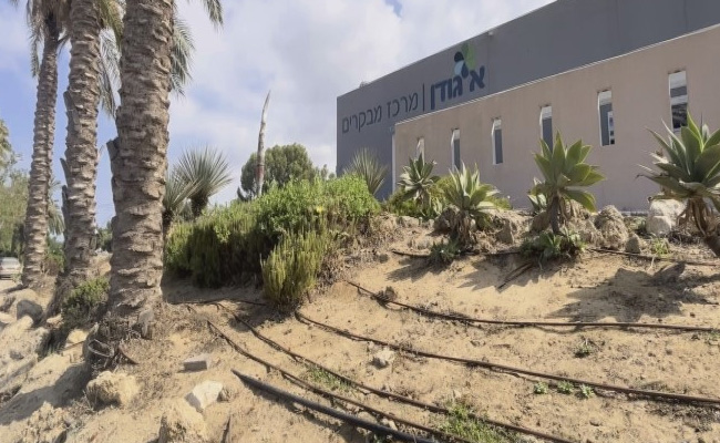 Is Israel Taking The Lead In Climate Tech? What This Could Mean For India