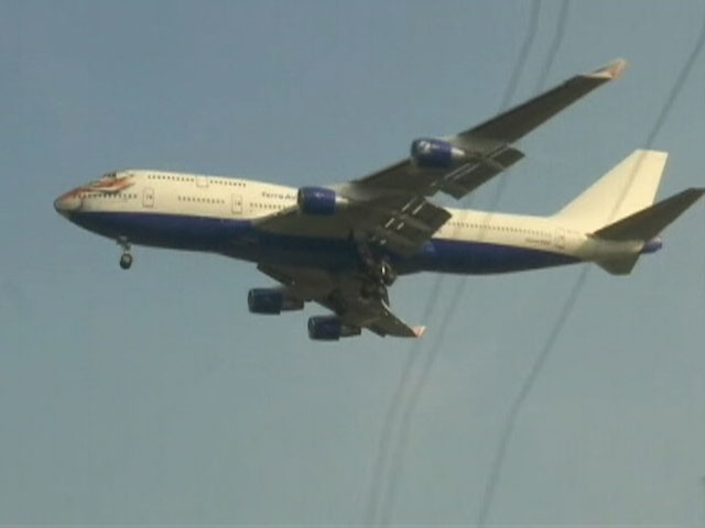 8 Cheetahs Land In Gwalior, To Be Flown To New Home Soon