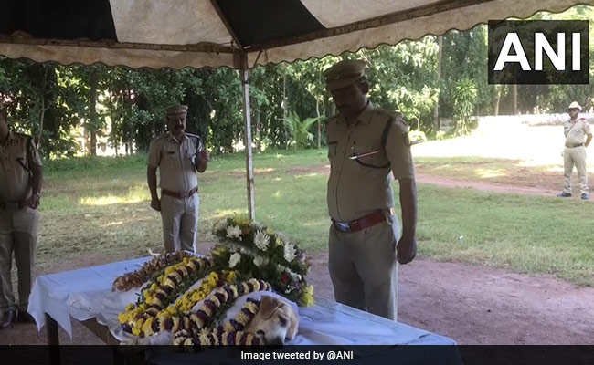 Last Rites Of Karnataka Police Dog, Geetha, Held With Full Honours: Cops