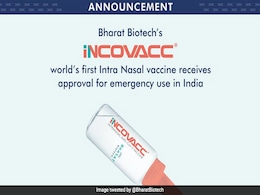 New Nasal Vaccine Against Covid-19: Your 5-Point Guide New Nasal Vaccine Against Covid-19: Your 5-Point Guide