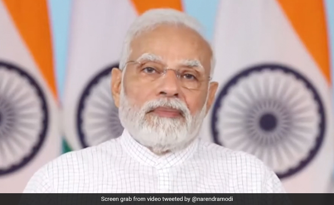 Cheetah Homecoming Ignited New Enthusiasm In India: PM Modi