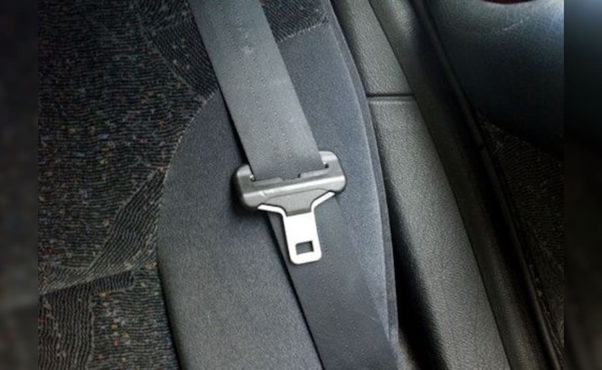 Cop Makes Mumbai Woman Wear Seat Belt, It Saves Her Life 15 Minutes Later