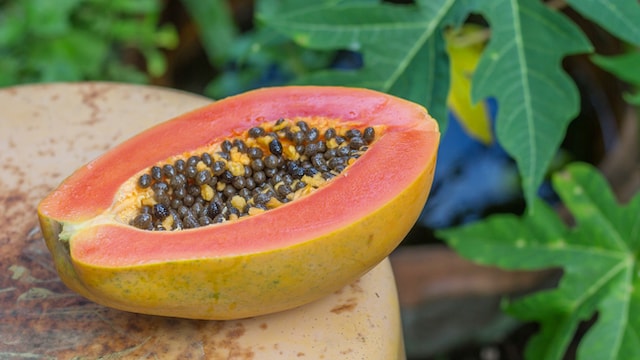 Papayas benefit our health in a variety of ways