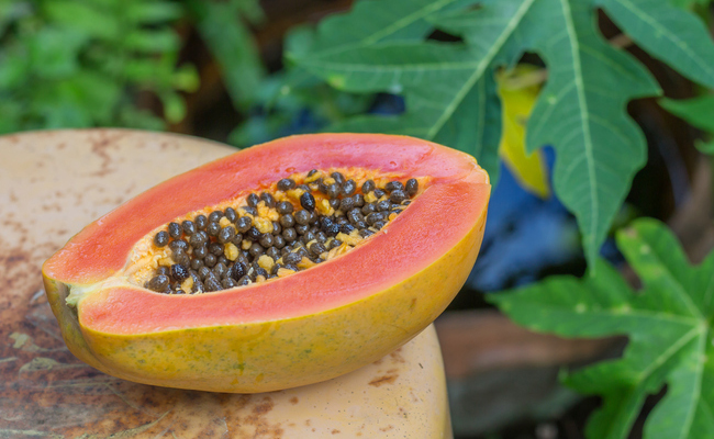 Papayas benefit our health in a variety of ways