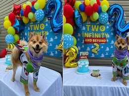 कीमती ड्रेस पहनें इस डॉगी के जन्मदिन पर रखी गई स्पेशल थीम पार्टी, यूजर्स बोले- 'बेबी का बर्थडे' कीमती ड्रेस पहनें इस डॉगी के जन्मदिन पर रखी गई स्पेशल थीम पार्टी, यूजर्स बोले- 'बेबी का बर्थडे'