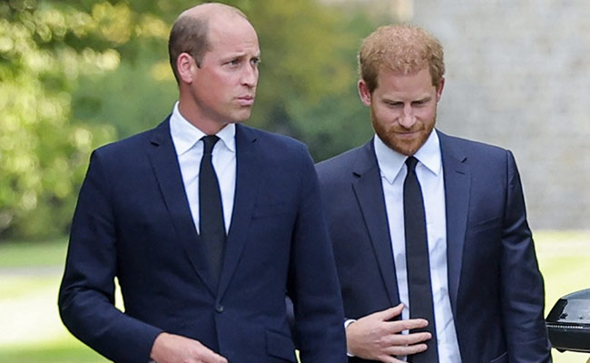 "Reunited For Granny": Prince Harry's Homecoming Welcomed By UK Papers